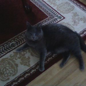 Meet your Posher, Barbara